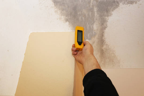 Mold Removal for HVAC Installations in Kingsley, IA