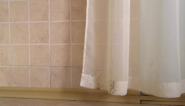 Best Asbestos and Lead Testing During Mold Inspection  in Kingsley, IA