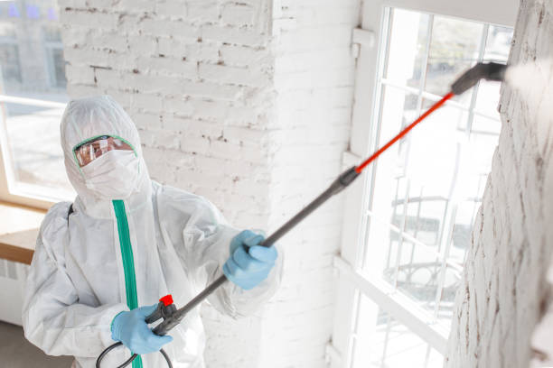 Best Forensic Mold Investigation  in Kingsley, IA