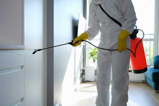 Best Biohazard Mold Removal  in Kingsley, IA